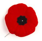 lapel-poppy-pin