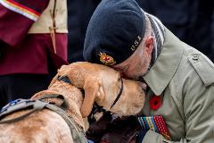 Veteran and his dog