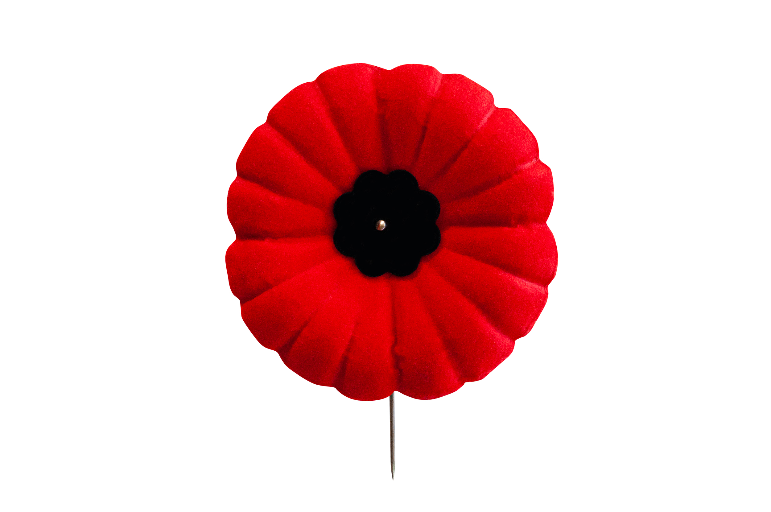 Lapel Poppy